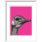 Ostrich on Pink - Art print