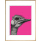 Ostrich on Pink - Art print