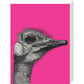Ostrich on Pink - Art print