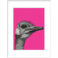Ostrich on Pink - Art print