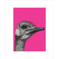 Ostrich on Pink - Art print