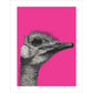 Ostrich on Pink - Art print