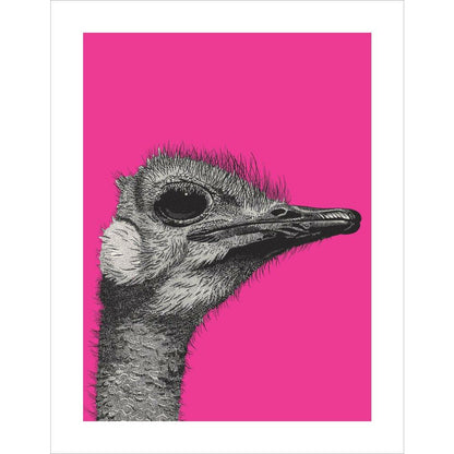 Ostrich on Pink - Art print