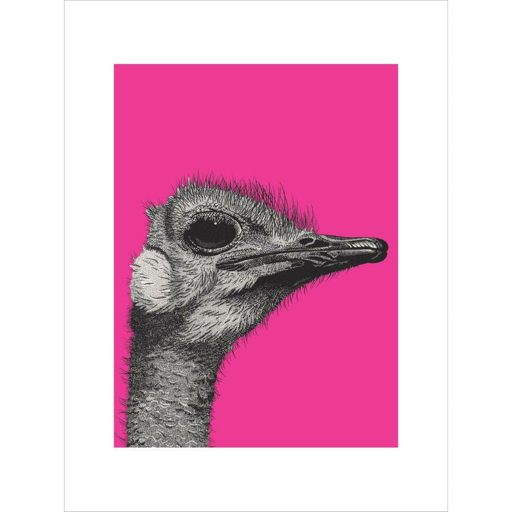 Ostrich on Pink - Art print