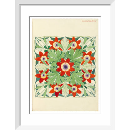 Anemone Regina Risso - Art print