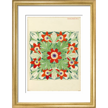Anemone Regina Risso - Art print