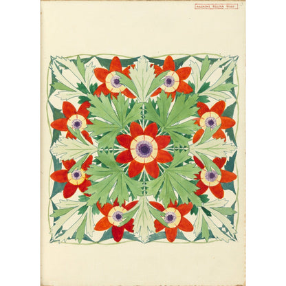 Anemone Regina Risso - Art print