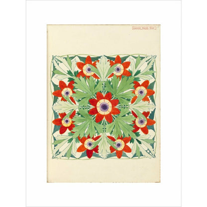 Anemone Regina Risso - Art print