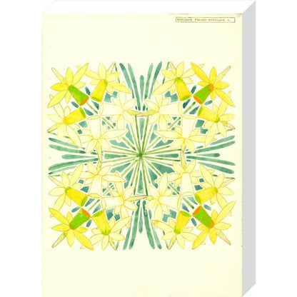 Narcissus - Art print