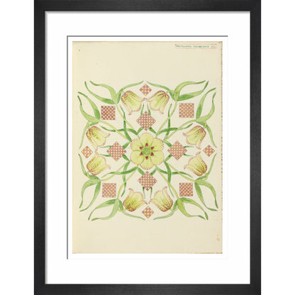 Alpine Fritillery - Art print