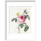 Pink rose and buds with Yellow Brimstone butterfly - Art print