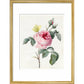 Pink rose and buds with Yellow Brimstone butterfly - Art print