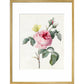Pink rose and buds with Yellow Brimstone butterfly - Art print