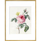 Pink rose and buds with Yellow Brimstone butterfly - Art print