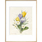White Primroses and early Hybrid Crocuses - Art print