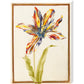 A multicoloured 'broken' tulip - Art print
