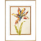 A multicoloured 'broken' tulip - Art print