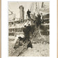 Dogs leaving the ship for training - Art print