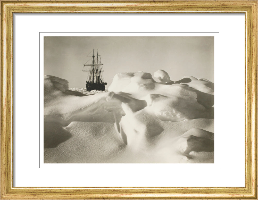 'Endurance' in the pack ice much resembling a billowy sea - Art print