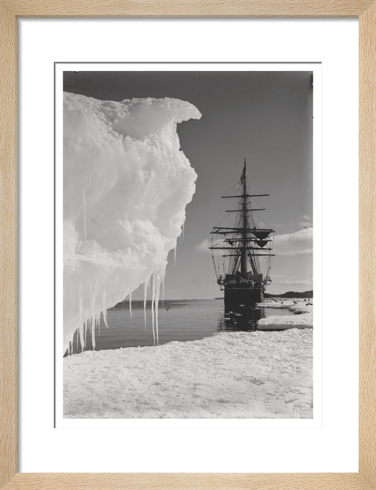 The Terra Nova and a berg at ice-foot - Art print