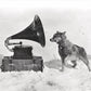 Chris and the Gramophone - Art print