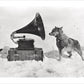 Chris and the Gramophone - Art print