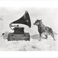 Chris and the Gramophone - Art print