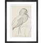 Sheet of studies (The Bittern) - Art print