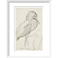 Sheet of studies (The Bittern) - Art print
