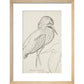 Sheet of studies (The Bittern) - Art print