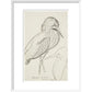 Sheet of studies (The Bittern) - Art print