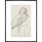 Sheet of studies (The Bittern) - Art print