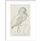 Sheet of studies (The Bittern) - Art print