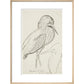 Sheet of studies (The Bittern) - Art print