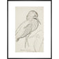 Sheet of studies (The Bittern) - Art print