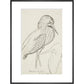 Sheet of studies (The Bittern) - Art print