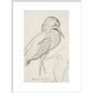 Sheet of studies (The Bittern) - Art print