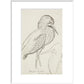 Sheet of studies (The Bittern) - Art print