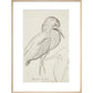 Sheet of studies (The Bittern) - Art print