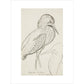 Sheet of studies (The Bittern) - Art print