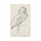 Sheet of studies (The Bittern) - Art print