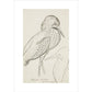 Sheet of studies (The Bittern) - Art print