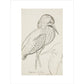 Sheet of studies (The Bittern) - Art print