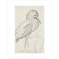 Sheet of studies (The Bittern) - Art print