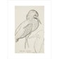 Sheet of studies (The Bittern) - Art print
