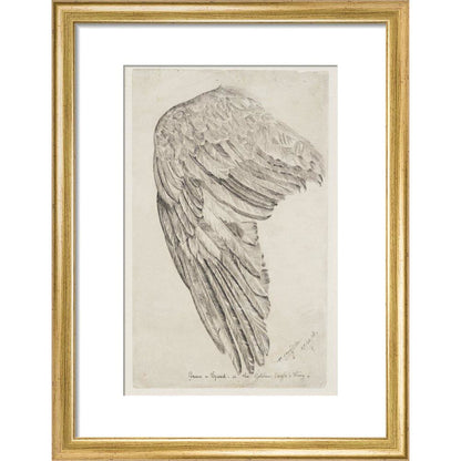 Grace and Speed, or The Golden Eagle's Wing - Art print