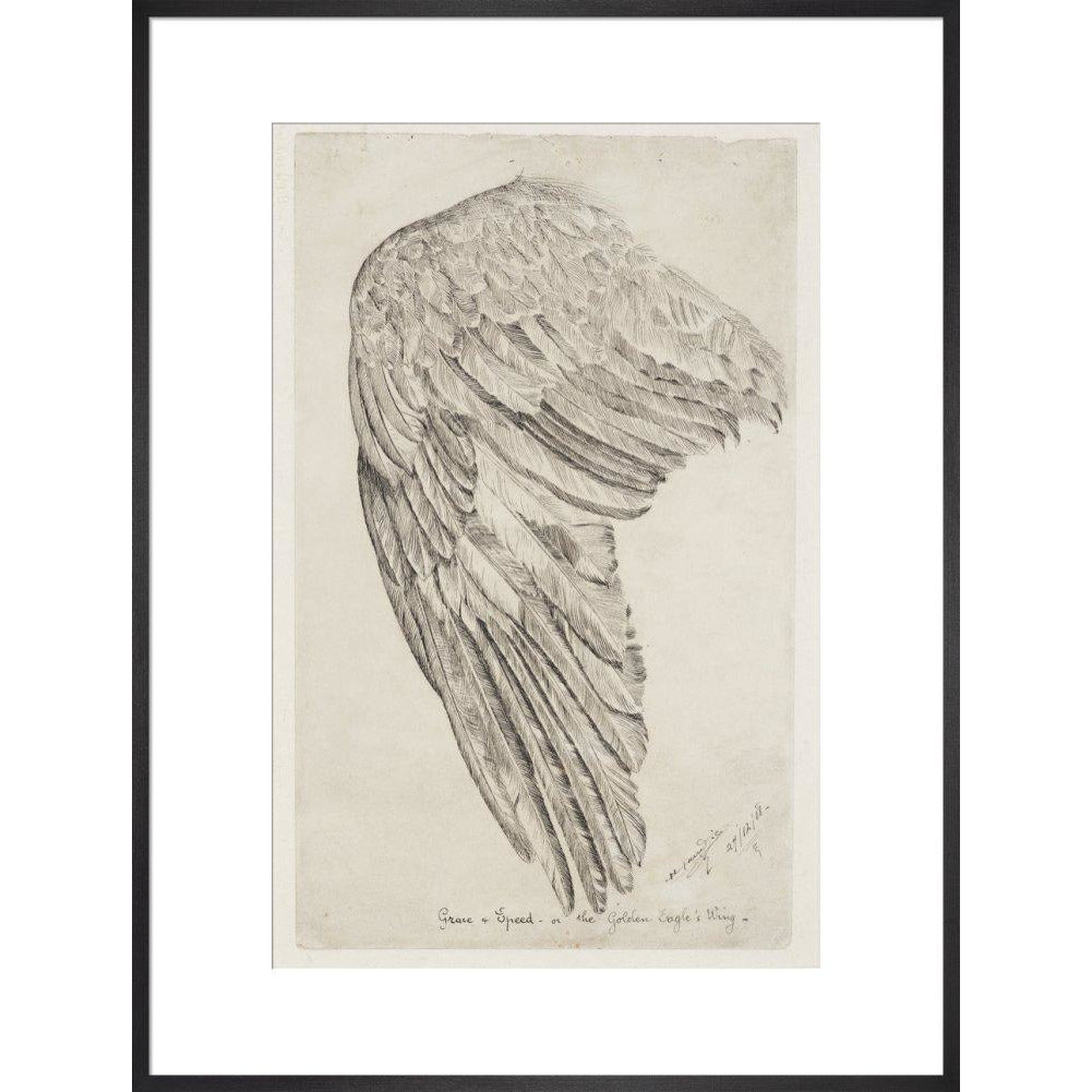 Grace and Speed, or The Golden Eagle's Wing - Art print