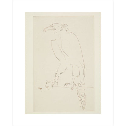 Eagle - Art print