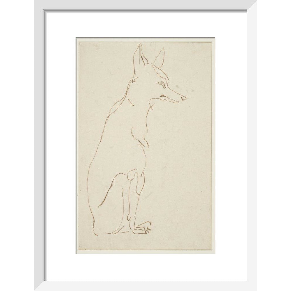 Fox - Art print