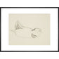 Duck - Art print